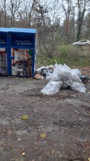 Foto: Müllablage am Glascontainer 